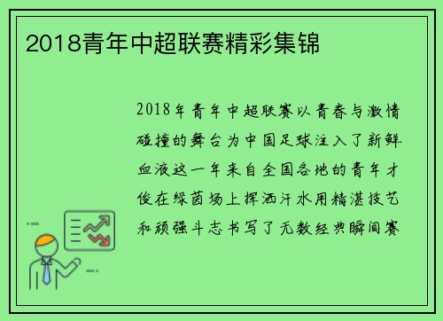 2018青年中超联赛精彩集锦