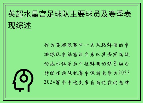 英超水晶宫足球队主要球员及赛季表现综述